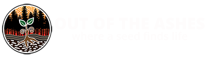 Out of the Ashes